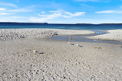 Huskisson Holiday Motel Cabins - Darwin Holiday 21