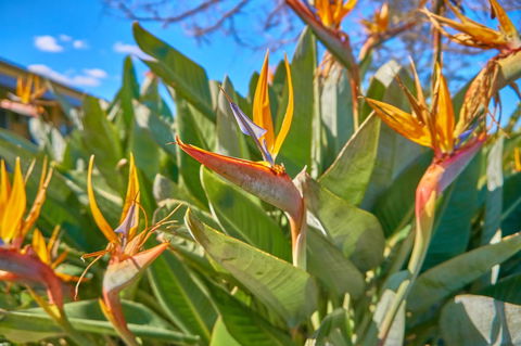 Hunter Oasis - Darwin Holiday 33