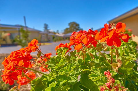 Hunter Oasis - Darwin Holiday 42