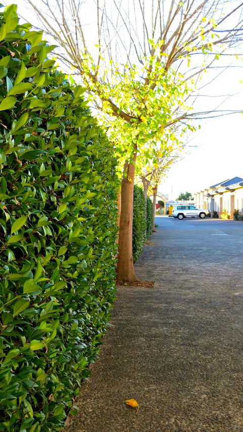Best Western Plus Goulburn - Darwin Holiday 37