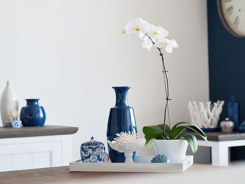 Blue View @ Fingal Bay - Darwin Holiday 8