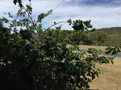 Hat Head Beach Cottage 1 - Darwin Holiday 2