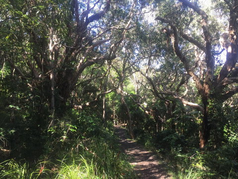 Hat Head Beach Cottage 1 - Darwin Holiday 24