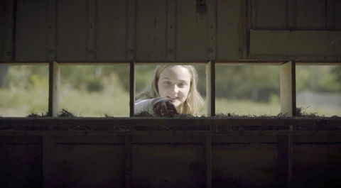 The Woods Farm Jervis Bay - Darwin Holiday 11