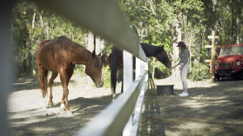 The Woods Farm Jervis Bay - Darwin Holiday 13