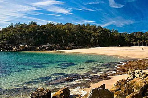 Oversized 2 Bedroom Manly Beach House - Darwin Holiday 10