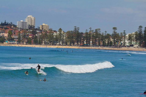 Oversized 2 Bedroom Manly Beach House - Darwin Holiday 13