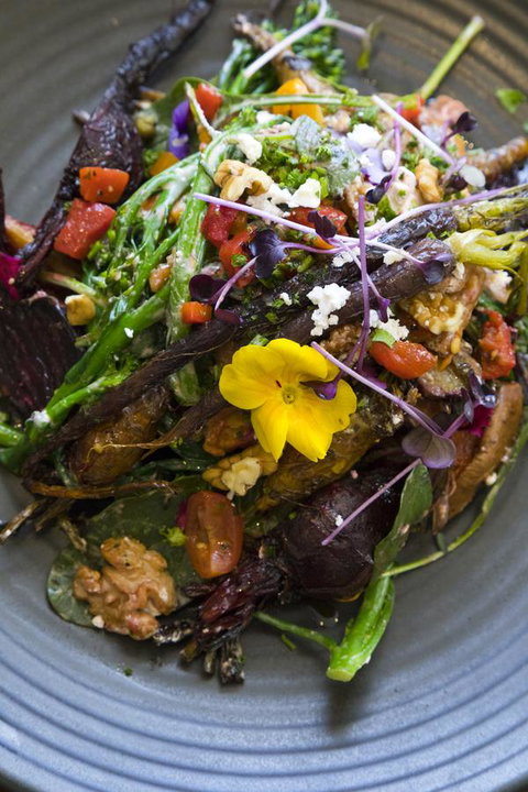 Sage Hotel Wollongong - Darwin Holiday 21