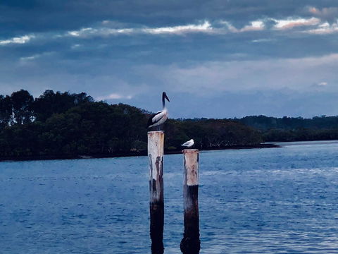 Boathouse Resort (Water Front) - Darwin Holiday 15