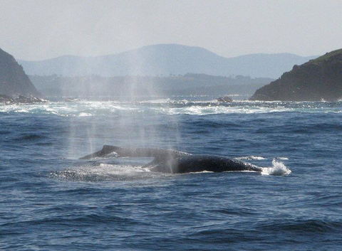 Boathouse Resort (Water Front) - Darwin Holiday 26