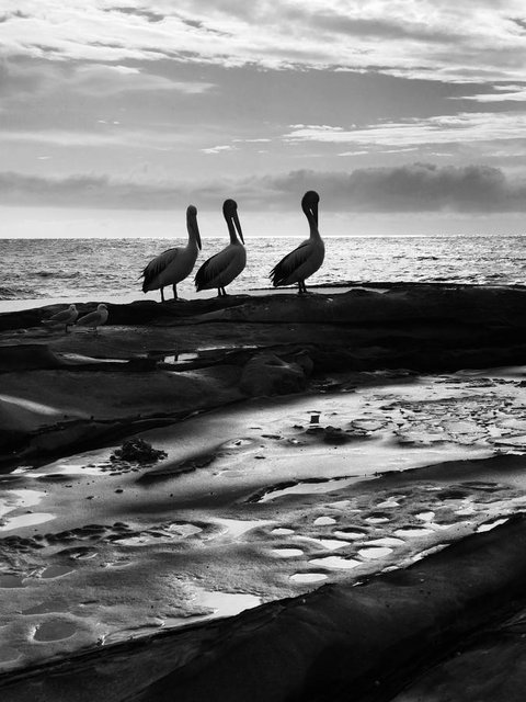 Waterview Beach Apartment - Darwin Holiday 28