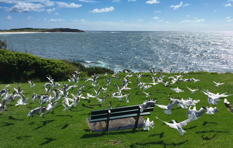 Waterview Beach Apartment - Darwin Holiday 25