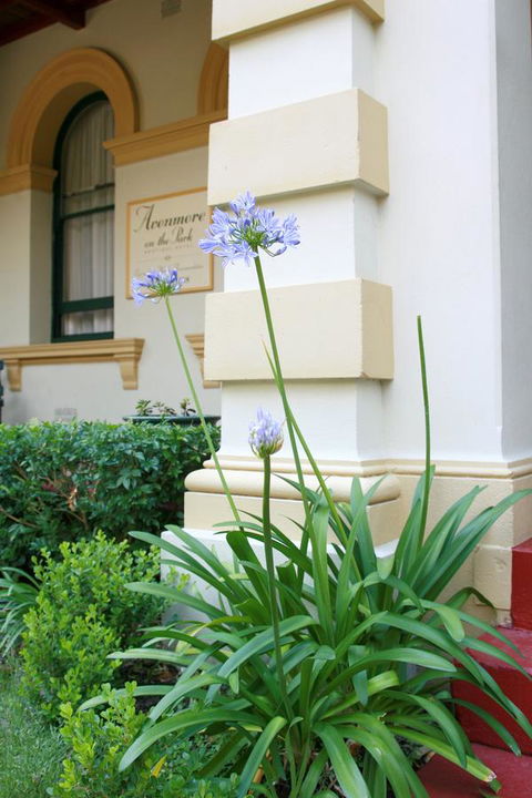 Avonmore On The Park Boutique Hotel - Darwin Holiday 15