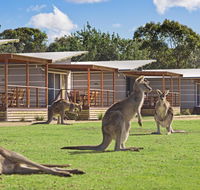 Discovery Parks  Pambula Beach - Darwin Holiday