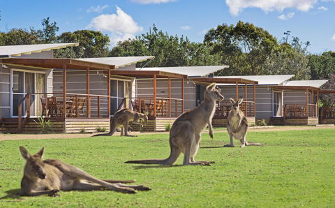 Discovery Parks - Pambula Beach - Darwin Holiday 0
