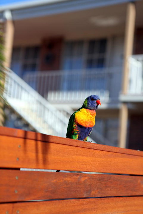 Summerhill Motor Inn - Darwin Holiday 30