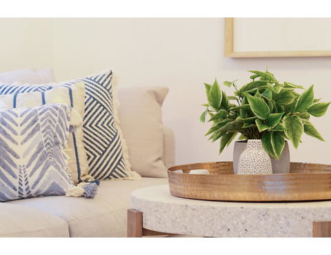 Huge Garden Apartment In The Heart Of Bondi Beach - Darwin Holiday 16