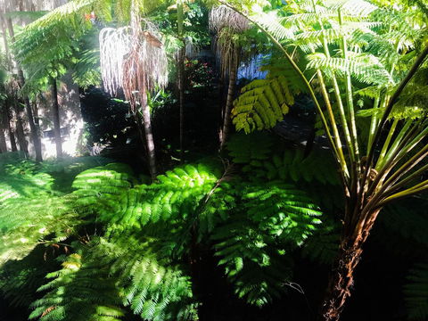 Woollahra Gem, Spectacular Views And Garden Paradise - Darwin Holiday 34