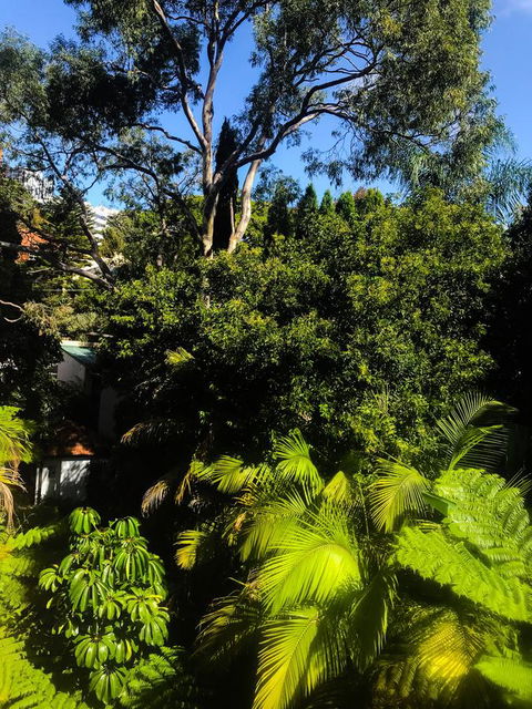 Woollahra Gem, Spectacular Views And Garden Paradise - Darwin Holiday 31