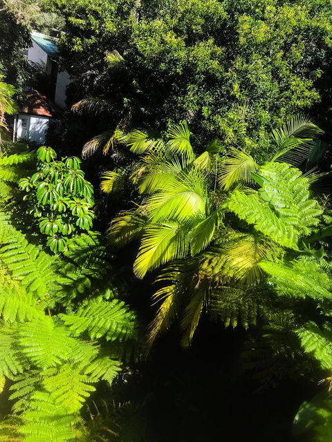Woollahra Gem, Spectacular Views And Garden Paradise - Darwin Holiday 29