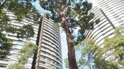 SkyGarden Sydney Olympic Park 3 & 4 Bedroom City View - Darwin Holiday 33