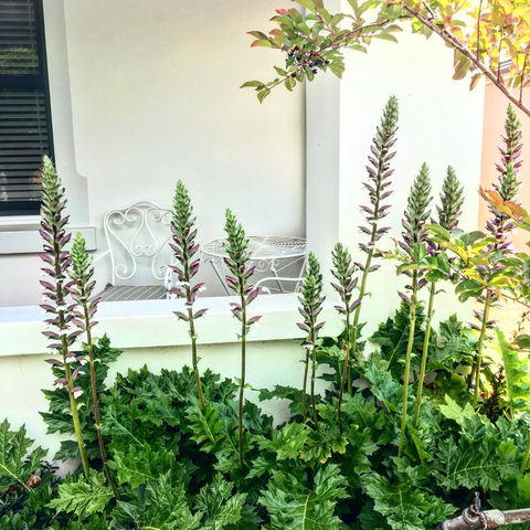 99 Hill Street Apartments - Darwin Holiday 20