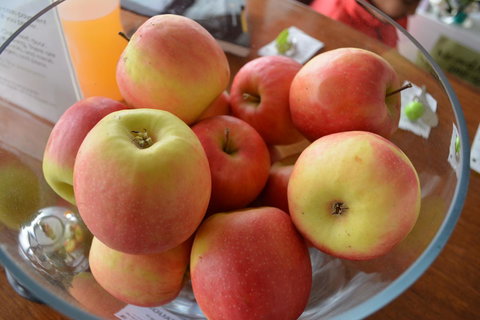 The Apple Inn - Darwin Holiday 12