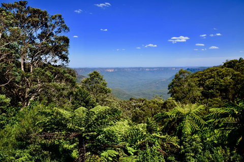 Dangal Gardens - Darwin Holiday 28