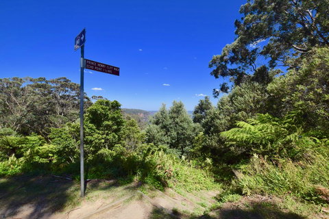 Dangal Gardens - Darwin Holiday 30