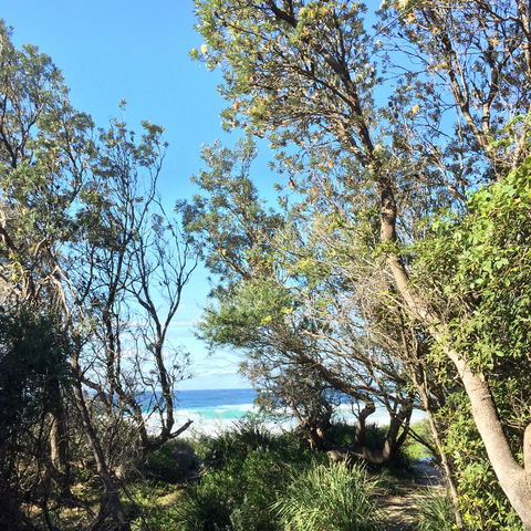 Salthouse Berrara - Darwin Holiday 22