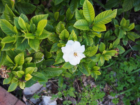 Bellevue Accommodation - Darwin Holiday 21