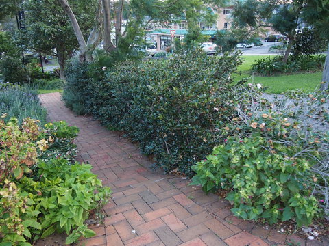 Bellevue Accommodation - Darwin Holiday 22