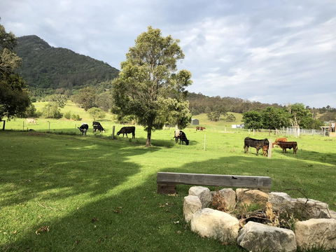 Arcadia - The Barn Cottage & Rosehill Cottage - Darwin Holiday 29