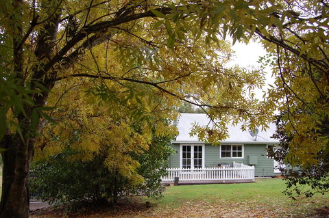 Cadair Cottages - Darwin Holiday 18