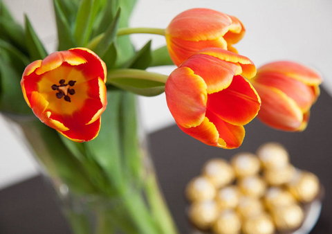 Wine Country Motor Inn - Darwin Holiday 10