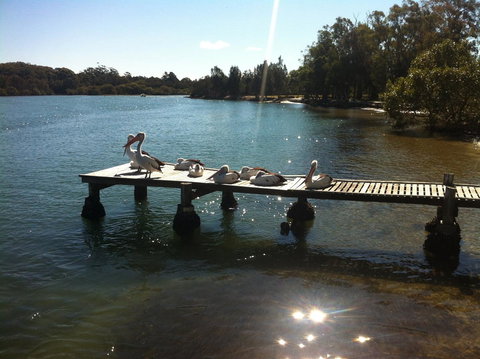 Pelican H2O One & Two Bedroom Apartments - Darwin Holiday 5