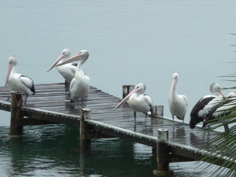 Pelican H2O One & Two Bedroom Apartments - Darwin Holiday 6