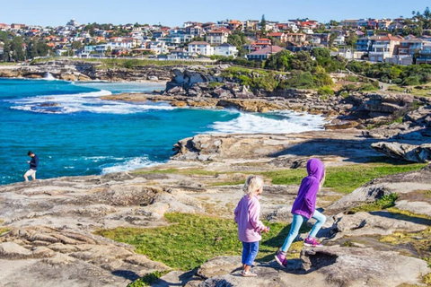 Right On Bondi - Darwin Holiday 19