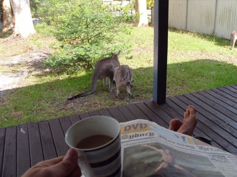 Bush & Bay Cottage - Darwin Holiday 29