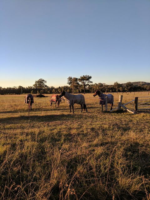 Madigan Wine Country Cottages - Darwin Holiday 8
