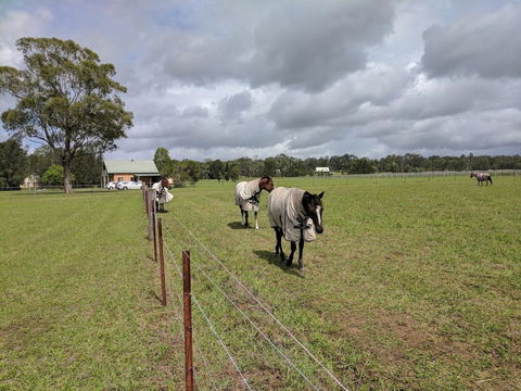 Madigan Wine Country Cottages - Darwin Holiday 9