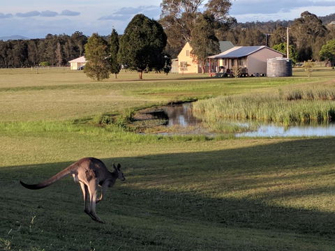 Madigan Wine Country Cottages - Darwin Holiday 6
