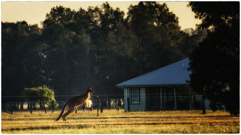 Madigan Wine Country Cottages - Darwin Holiday 5