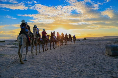 Fern Bay Motel - Darwin Holiday 33