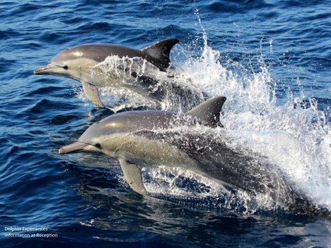Fern Bay Motel - Darwin Holiday 39