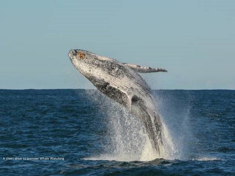Fern Bay Motel - Darwin Holiday 37