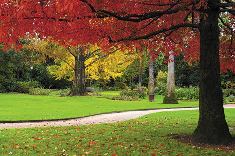 Quest Albury On Townsend - Darwin Holiday 23