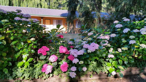 Moruya Motel - Darwin Holiday 28