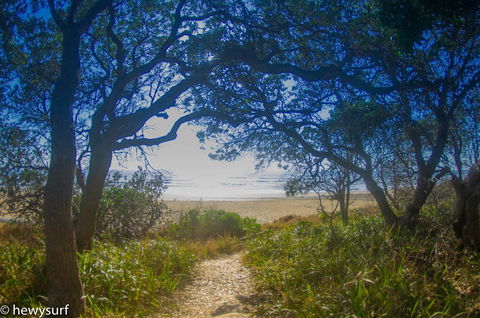 Drifted Away - Darwin Holiday 10