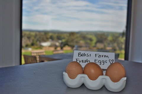 Belisi Farmstay Cottage - Darwin Holiday 20